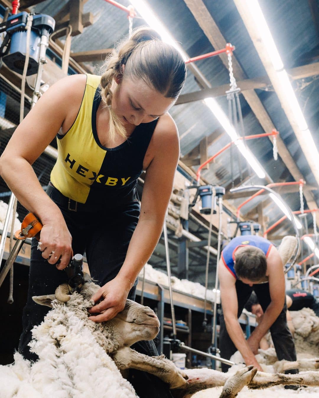 A woolhandler working a fleece at the table